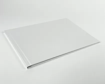 Pro PhotoBook A4L - white pearl - Box 10 pcs