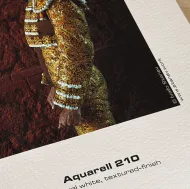 Aquarell 210