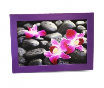 Solo Mount Magnet 4 x 6"- Purple- inc. clear high-gloss cover 