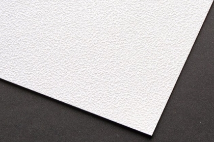 Digifort - P300 - matt Stucco