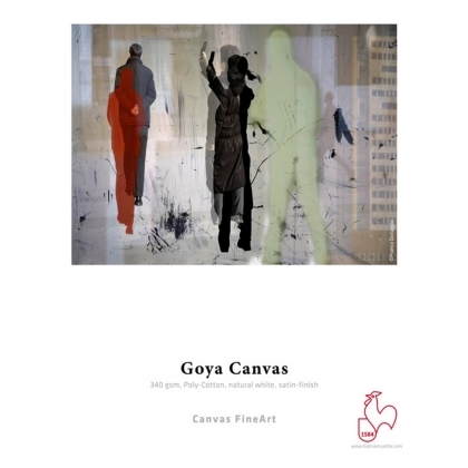 Goya Canvas 340 - Roll 24
