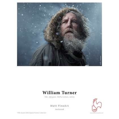 William Turner 310