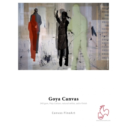 Goya Canvas 340