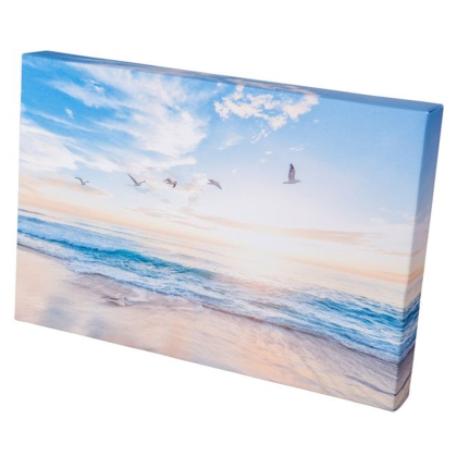 Adventa QuickPro ArtWrap 8 x 12" complete with backboard