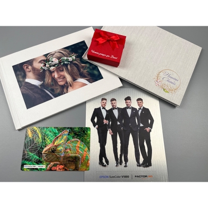 EPSON SureColor SC-V1000