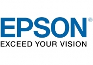 EPSON Cleaning Cartridge - T699000