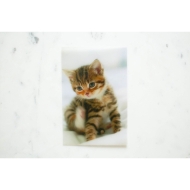 Translucent film 15x20/ 6"x8" за 400 снимки - за принтер KSF-10R